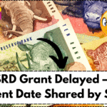 July SRD Grant Delayed – New Payment Date Shared by SASSA