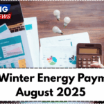 NZ Winter Energy Payment August 2025 – Check Payout Dates & Amounts