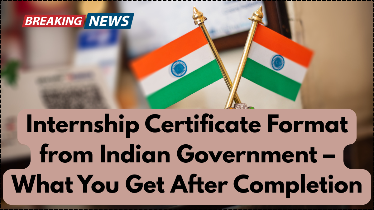Internship Certificate Format from Indian Government – What You Get After Completion
