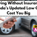 Driving Without Insurance? Canada’s Updated Law Could Cost You Big
