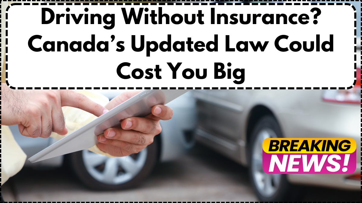 Driving Without Insurance? Canada’s Updated Law Could Cost You Big